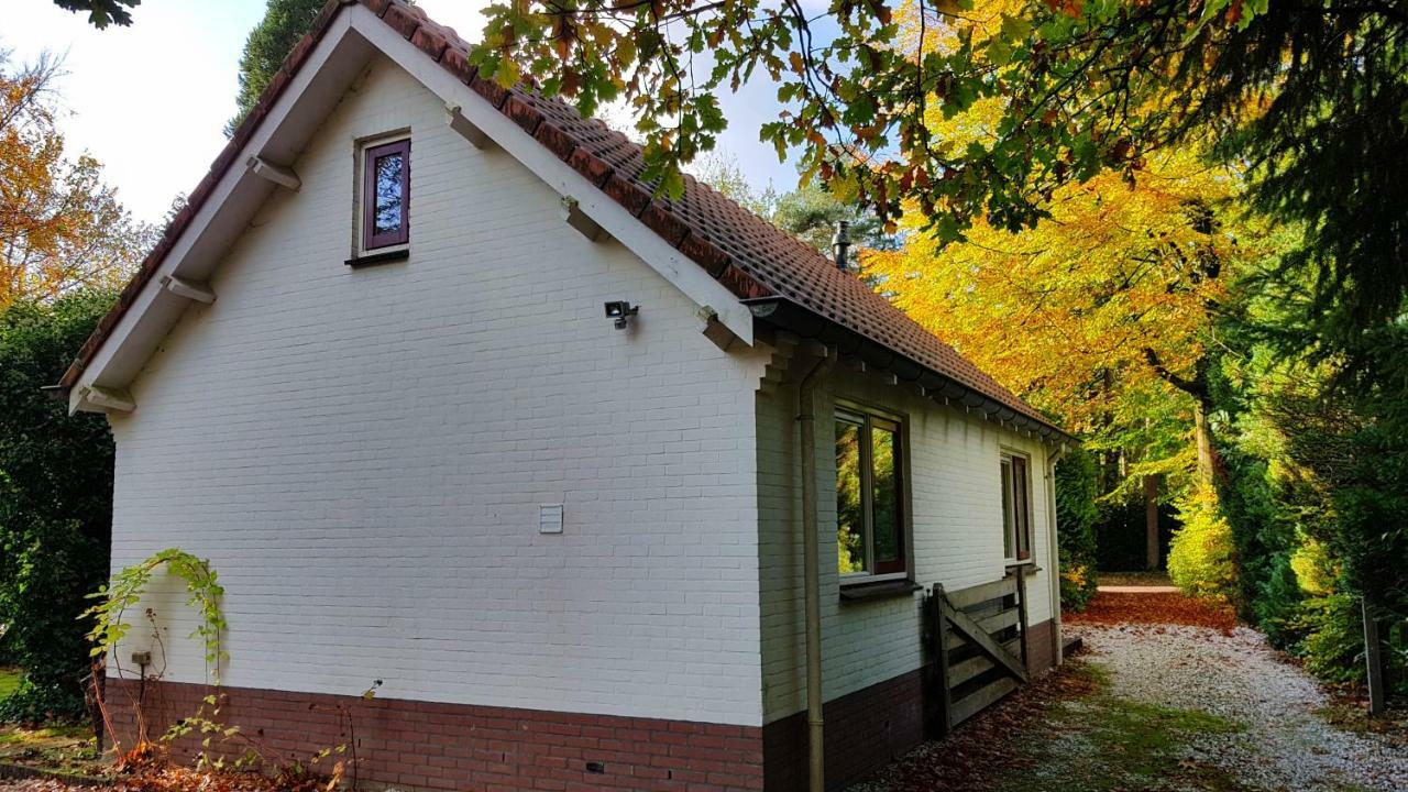 Dennenhuis Вассен Екстер'єр фото